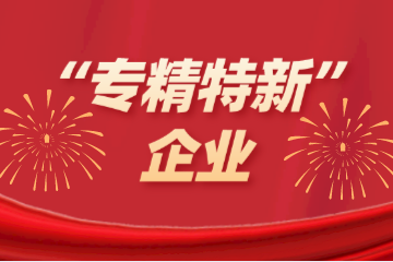 喜訊！遠望信息入選浙江省“專精特新”企業(yè)名單